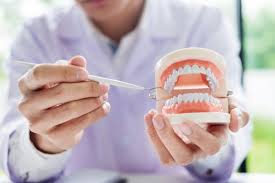 The Role Of General Dentistry In Preventing Gum Disease